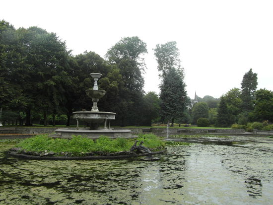 Der schöne Fitzgerald Park, in dem das Museum liegt