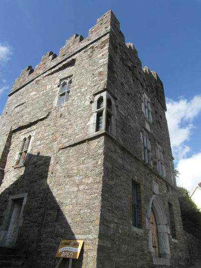 Desmond Castle