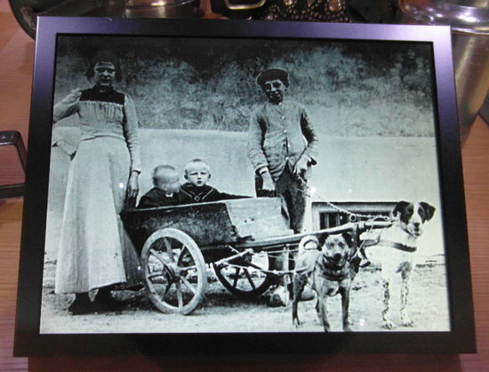 Interessant fand ich einige der historischen Fotos, z.B. eine Sammlung mit Fotos von Hunden, wo gezeigt wurde, wie diese zur Arbeit eingesetzt wurden.
