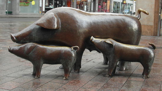 Schweinefamilie