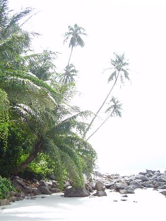 unser Strand