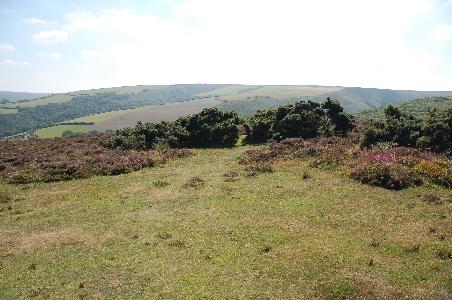 Exmoor Nationalpark