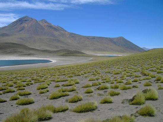 Aber nicht ueberall ist es staubtrocken 