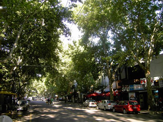 So "bewachsen" sind fast alle Strassen Mendozas!