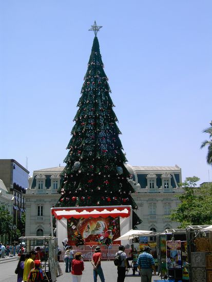 Ein grosser Weihnachtsbaum in einer grossen Stadt - Santiago de Chile!