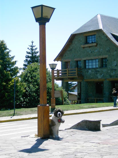 Da waren wir also ploetzlich in Bariloche... Nicht wie hier bei Tageslicht, sondern um Mitternacht kamen wir an. Wuff, wuff...