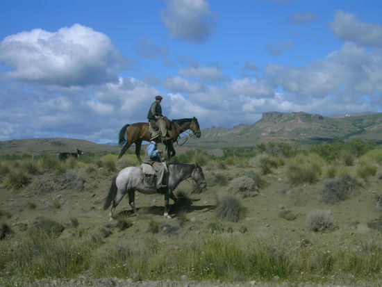 Aber die wahren Helden des Alltags gibt es nur hier: Die Gauchos!
