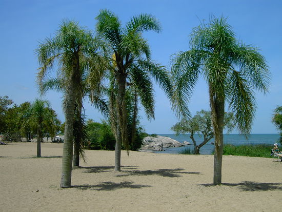 La Playa en Sao Lourenco 