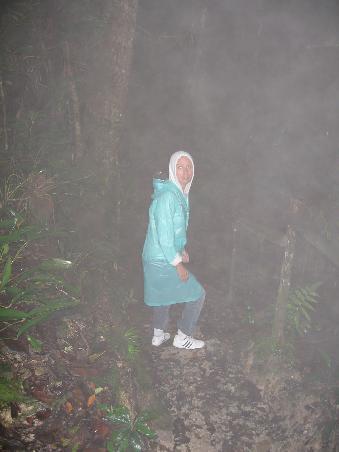 Christine im Nebelwald