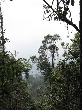Blick auf den Mount Kinabalu (leider hinter Nebel bzw. Wolken)