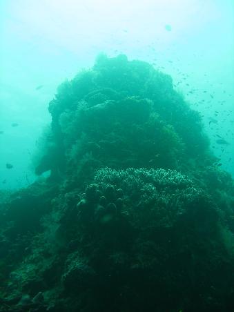 Blick nach oben aus 20 - 25 Meter Tiefe.
