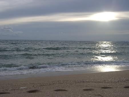 wasser