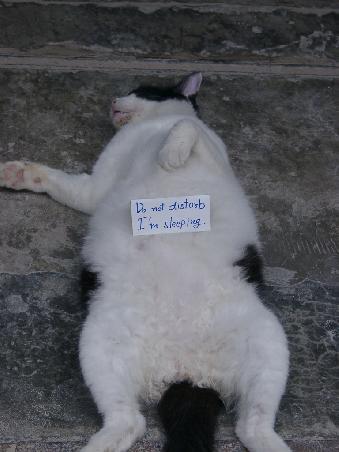 i hab des schild da net draufgestellt )