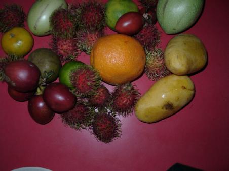 obst nach der tour, die kleinen grünen schmecken komisch :O)