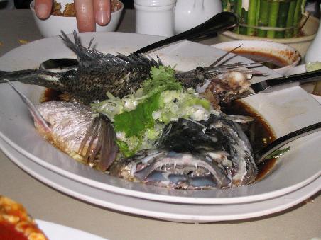 Der gedünstete Fisch Hong Kong Style - sieht vielleicht etwas gefährlich aus, war aber voll lecker