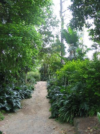 Die Fitzroy Gardens mitten in Melbourne