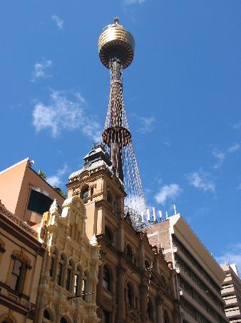Der Sydney Tower; auch zwischen den Haeuserschluchten kaum zu uebersehen