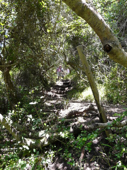 Auf dem Bushbock Trail