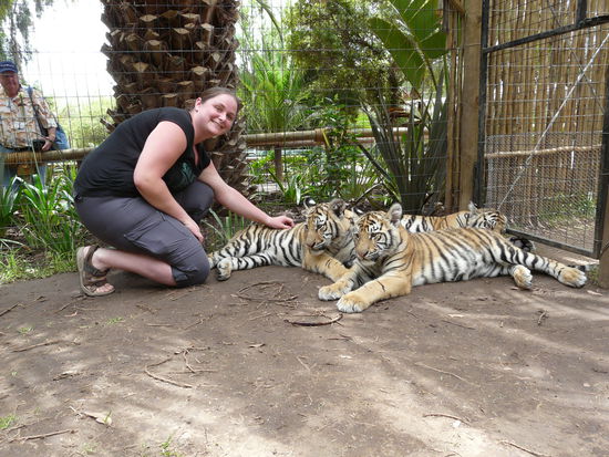 Das bin ich mit 3 süßen Tieger Babys. Die waren gerade 6 Monate alt.