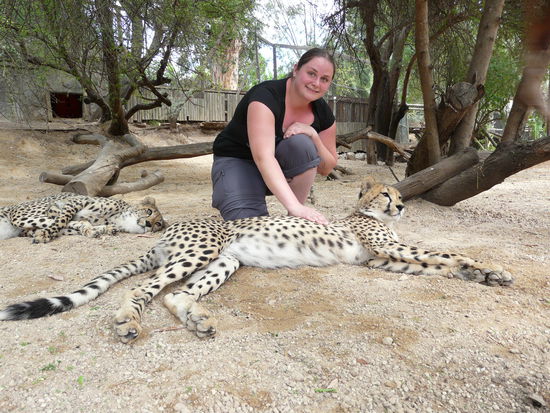 und hier bin ich bei der älteren und größeren Verwandtschaft.
Hmmm wenn ich mir das Bild jetzt so angucke sieht das irgendwie so aus als wollte der Linke mir in den Hintern beissen....