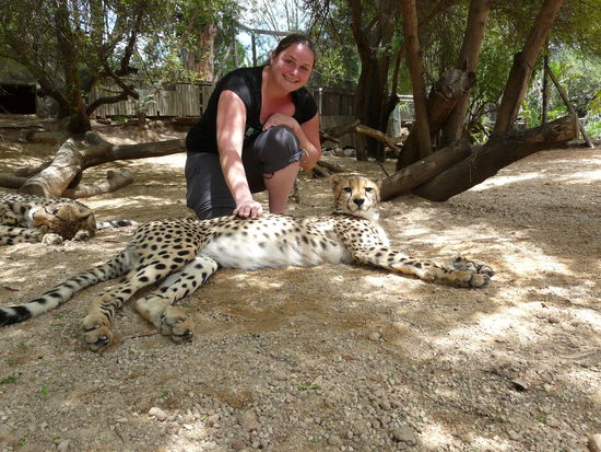 ... na er hats sich wohl doch anders überlegt...