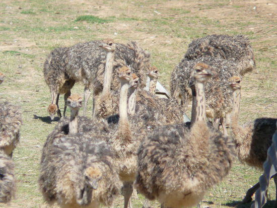 ...erst mal von einem entdeckt werden wir für alle interessant....