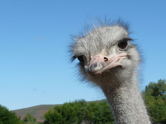 ...auch für die Großen.