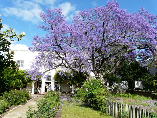 Das ist der Hinterhof zu dem Haus
