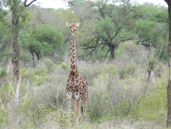 Ist die nicht süß?!?