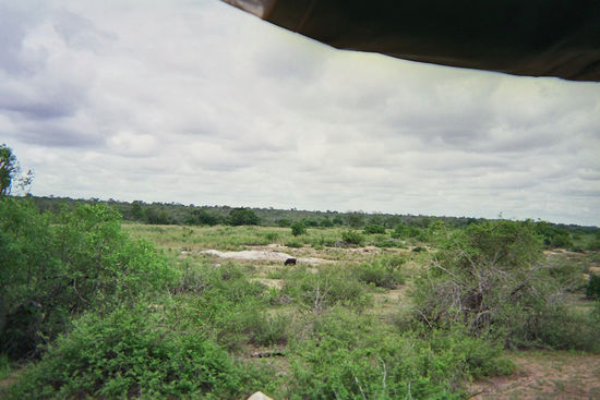 Der kleine schwarze Punkt da hinten ist der erste Büffel den wir gesehen haben