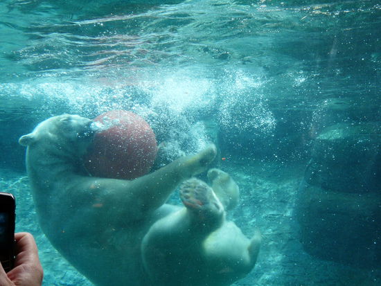 oder machen Morgengymnastik