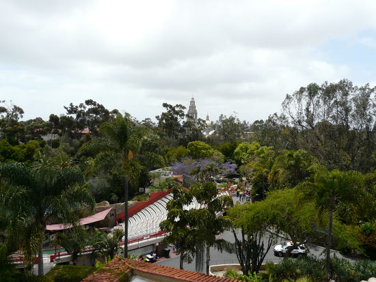Der Zoo mit Arena und im Hintergrund der Balboa Park