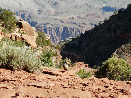 Auch hier dürfen sie nicht fehlen!