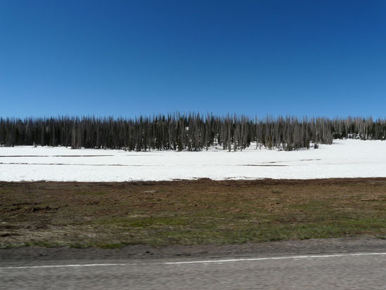 Das weiße hier auch!!!