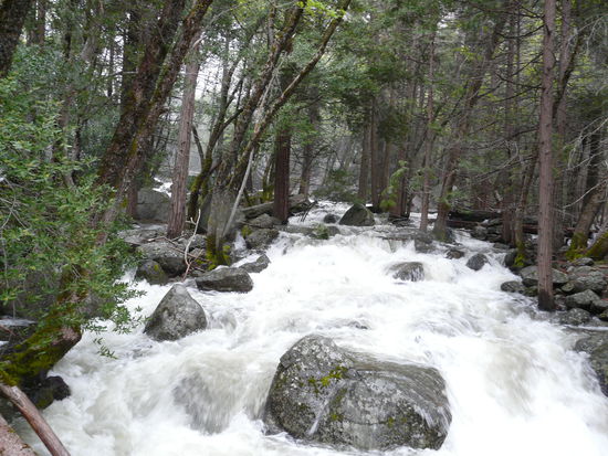 Kleine Bächlein werden zu Flüssen...