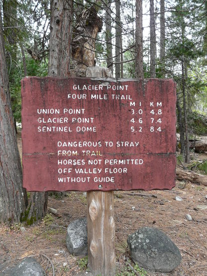 Den Glacier Point hatten wir uns vorgenommen