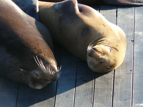 Aber gemüüüütlich