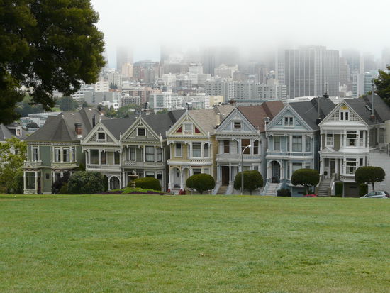 Die 'Painted Ladies'