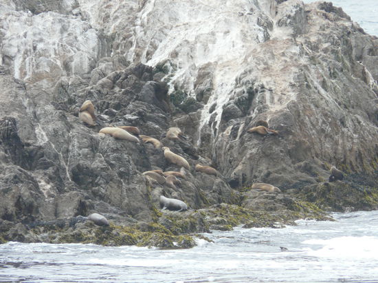 Daaa unten liegen sie alle