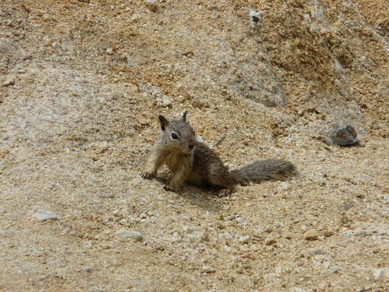 Und hier der Nachwuchs!