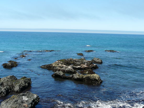 Na wer hätte sie auch gesehen?