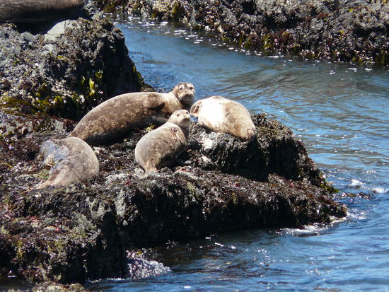 Hey was macht ihr denn hier? Warum weckt ihr uns?