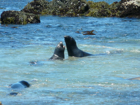 Die waren nicht gerade gut gelaunt!