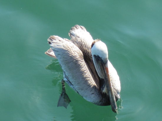 Hier fällt immer was ab!