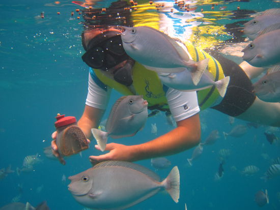 Bewaffnet mit Fischfutter 