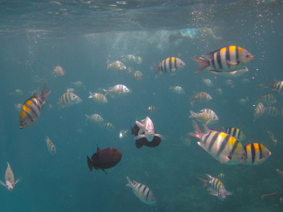 This must be underwater world...