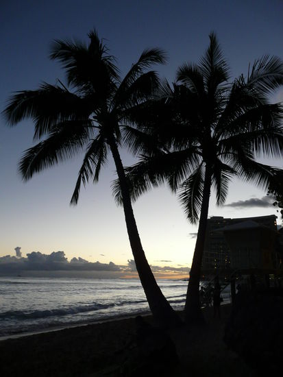 ...on Waikiki beach.