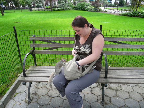 Ich weiß genau da is was in der Tasche! Gib schon her sonst kriech ich rein!!!