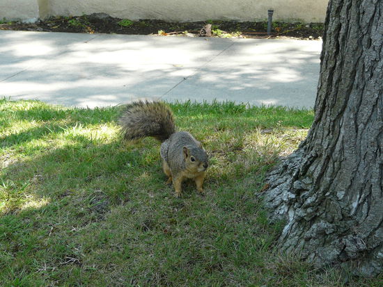 Sorry, aber es musste noch mal rein