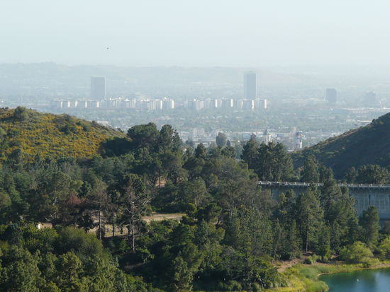 Hollywood liegt unzu füßen